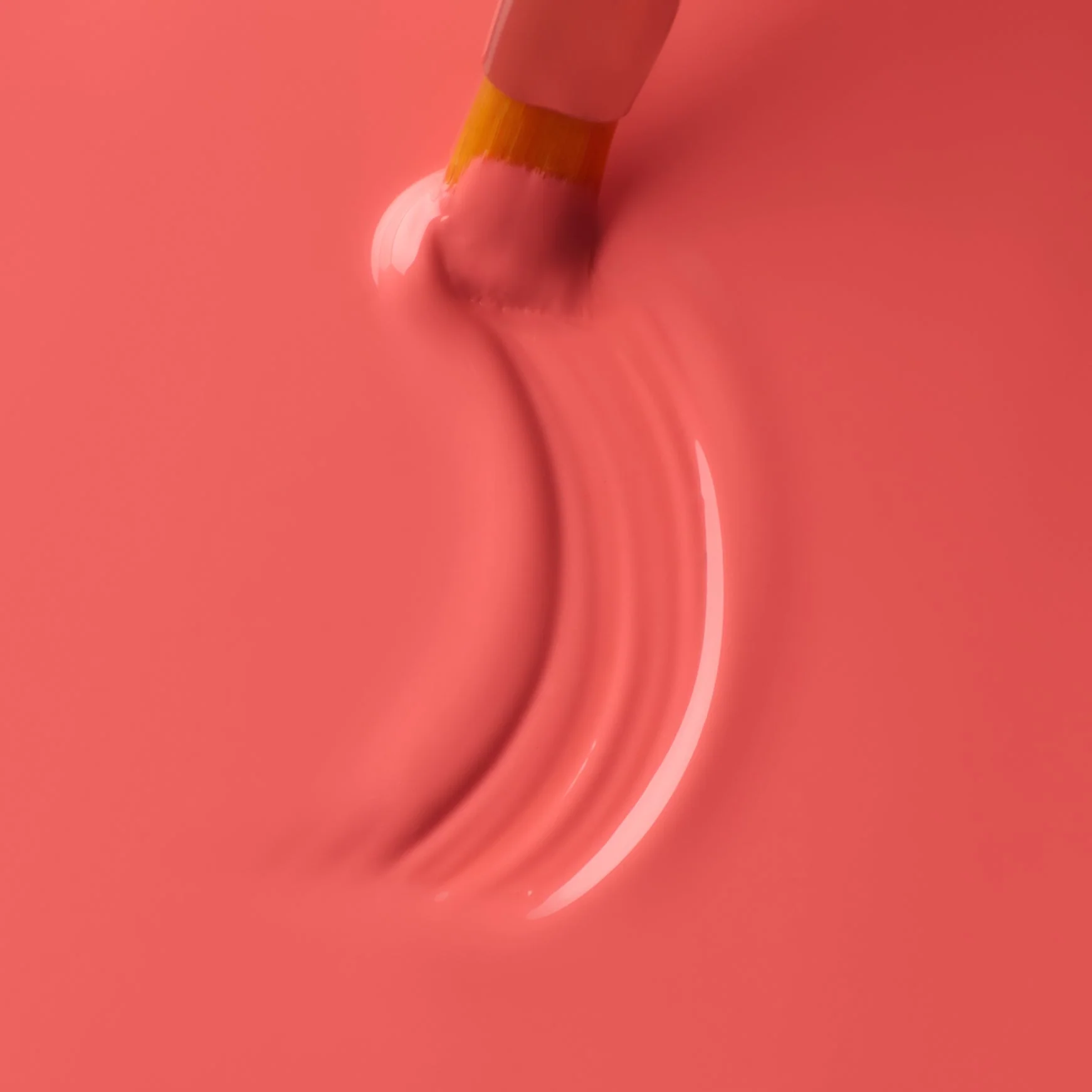 Supreme Color Gel Coral Rose - Image 2